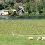 Quinta Do Burgo - Nature *