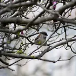 팜스테이 Quinta Do Burgo - Nature *