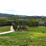 Quinta Do Burgo - Nature 아마레스