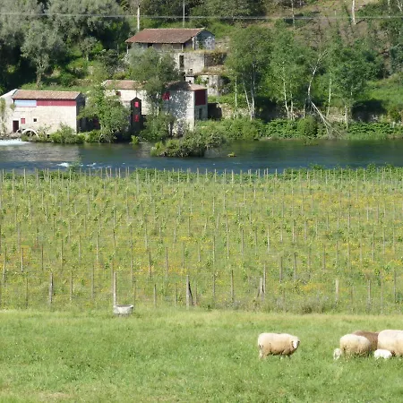 Quinta Do Burgo - Nature *