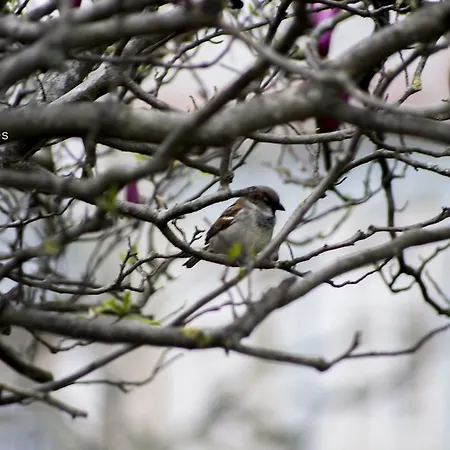 Séjour à la ferme Quinta Do Burgo - Nature *
