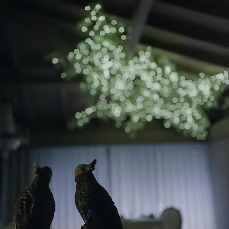 Quinta Do Burgo - Nature Séjour à la ferme Amares