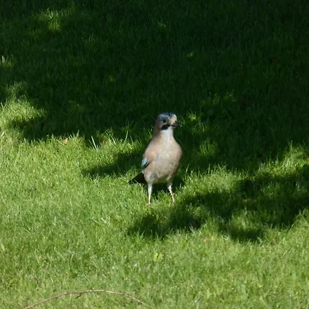 Quinta Do Burgo - Nature Amares