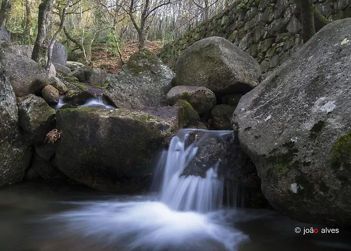 Quinta Do Burgo - Nature 팜스테이 아마레스