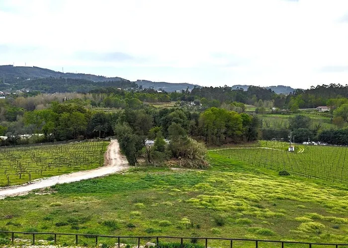 Quinta Do Burgo - Nature 아마레스