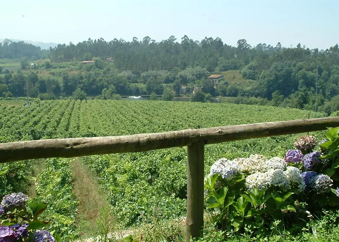 팜스테이 Quinta Do Burgo - Nature *